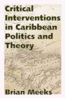 Image for Critical Interventions in Caribbean Politics and Theory
