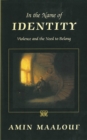 Image for In the name of identity: violence and the need to belong