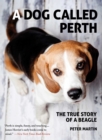 Image for Dog Called Perth: The True Story of a Beagle