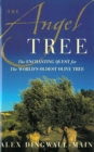 Image for The Angel Tree: The Enchanting Quest for the World&#39;s Oldest Olive Tree