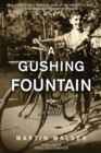 Image for Gushing Fountain: A Novel