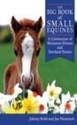 Image for The big book of small equines: a celebration of miniature horses and shetland ponies