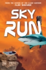Image for Sky Run