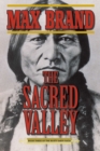 Image for Sacred Valley: Book Three of the Rusty Sabin Saga
