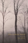 Image for Fog of dead souls: a thriller