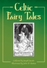 Image for Celtic fairy tales