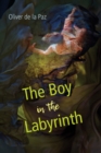 Image for The boy in the labyrinth