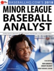 Image for 2018 Minor League Baseball Analyst
