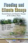 Image for Flooding &amp; Climate Change : Sectorial Impacts &amp; Adaptation Strategies for the Caribbean Region