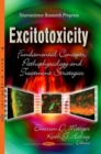 Image for Excitotoxicity  : fundamental concepts, pathophysiology &amp; treatment strategies
