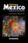 Image for Indigenous Mexico engages the 21st century  : a multimedia-enabled text