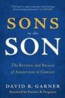 Image for Sons in the Son