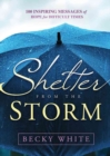 Image for Shelter from the Storm