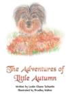 Image for The Adventures of Little Autumn