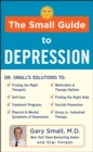 Image for The small guide to depression