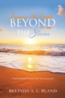 Image for Learn to Look Beyond The Storm