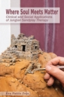 Image for Where Soul Meets Matter : Clinical and Social Applications of Jungian Sandplay Therapy