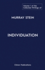Image for The Collected Writings of Murray Stein : Volume 1: Individuation