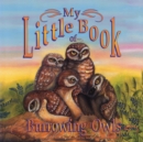 Image for My little book of burrowing owls