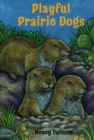 Image for Playful Prairie Dogs
