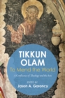 Image for &#39;Tikkun Olam&#39; -to Mend the World: A Confluence of Theology and the Arts