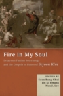 Image for Fire in My Soul: Essays On Pauline Soteriology and the Gospels in Honor of Seyoon Kim