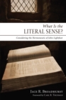 Image for What Is the Literal Sense?: Considering the Hermeneutic of John Lightfoot