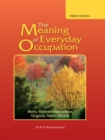 Image for The Meaning of Everyday Occupation