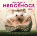 Image for Adorable Hedgehogs 2016