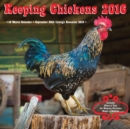 Image for Keeping Chickens 2016