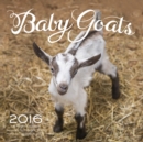 Image for Baby Goats 2016 : 16-Month Calendar September 2015 through December 2016