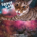 Image for Space Cats! 2016 : 16-Month Calendar September 2015 through December 2016