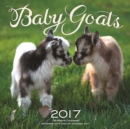 Image for Baby Goats 2017 : 16-Month Calendar September 2016 through December 2017