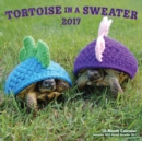 Image for Tortoise in a Sweater 2017