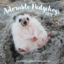 Image for Adorable Hedgehogs Mini 2018