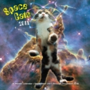 Image for Space Cats 2018 : 16 Month Calendar Includes September 2017 Through December 2018