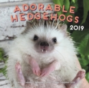 Image for Adorable Hedgehogs 2019