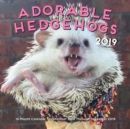 Image for Adorable Hedgehogs Mini 2019