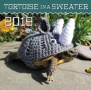 Image for Tortoise in a Sweater 2019