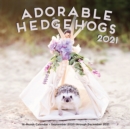 Image for Adorable Hedgehogs 2021