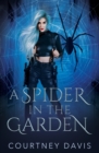 Image for A Spider in the Garden