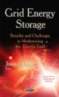 Image for Grid Energy Storage : Benefits &amp; Challenges to Modernizing the Electric Grid