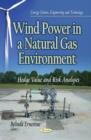Image for Wind Power in a Natural Gas Environment : Hedge Value &amp; Risk Analyses