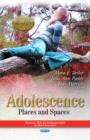 Image for Adolescence : Places &amp; Spaces