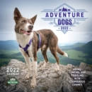 Image for ADVENTURE DOGS SQUARE WALL CALENDAR 2022