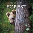 Image for Soul of the Forest 2024 Calendar : Traveling the Globe, Connecting the World