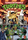 Image for Teenage Mutant Ninja Turtles Adventures Volume 8