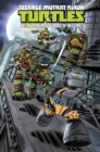 Image for Teenage Mutant Ninja Turtles  : new animated adventuresVolume 3