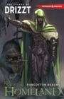 Image for Dungeons &amp; Dragons: The Legend of Drizzt Volume 1 - Homeland