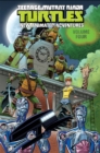 Image for Teenage Mutant Ninja Turtles: New Animated Adventures Volume 4